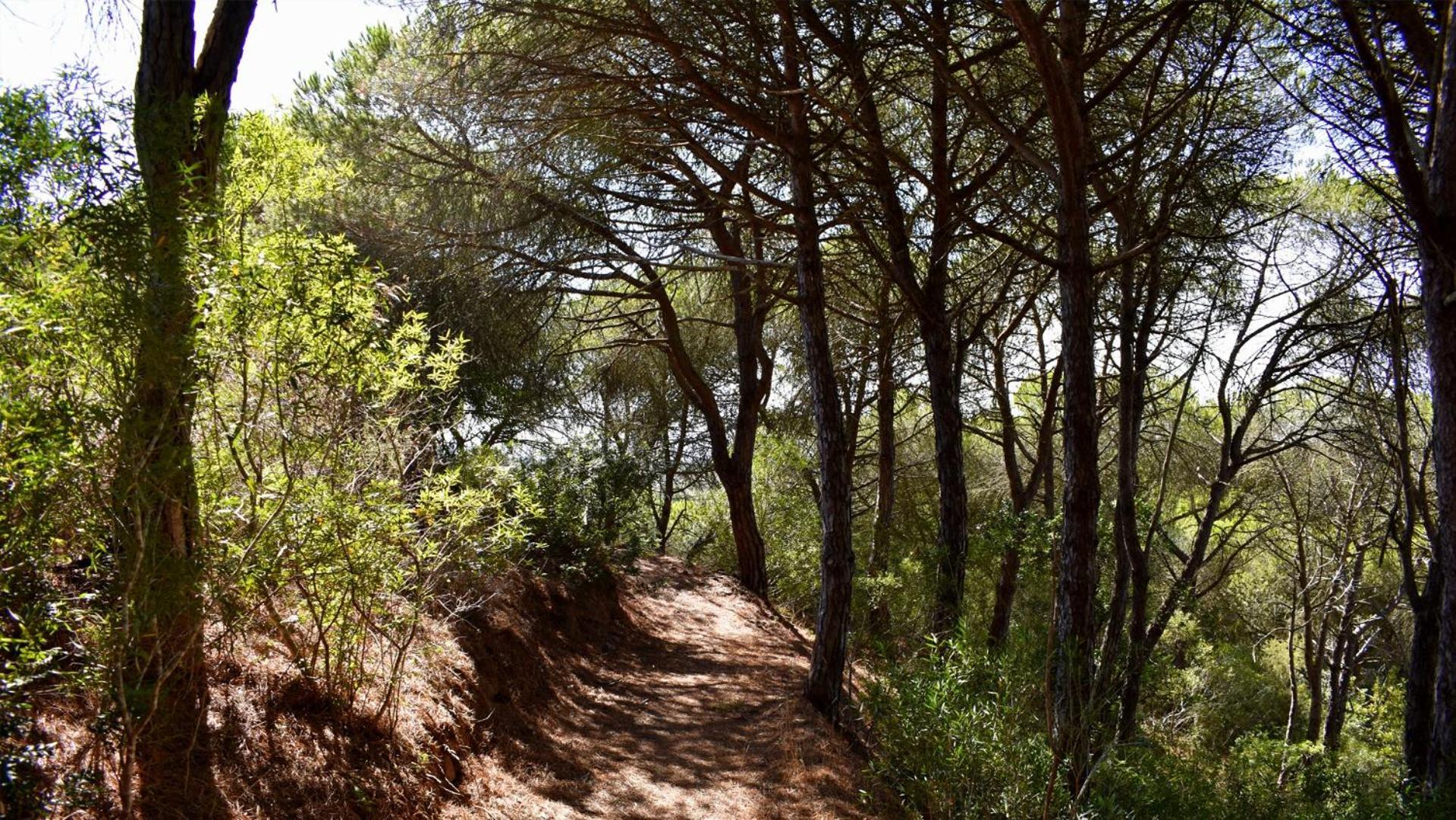 Гостьовий будинок Monte Sardinha Сантіагу-ду-Касен Екстер'єр фото